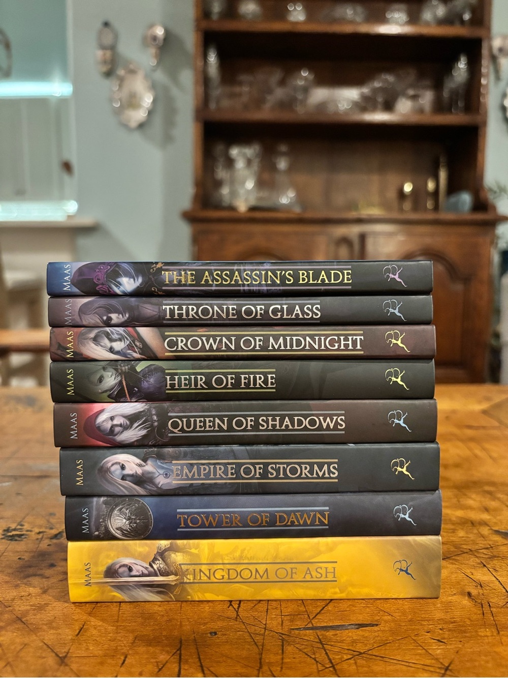 Throne of Glass Miniature Character Collection Complete